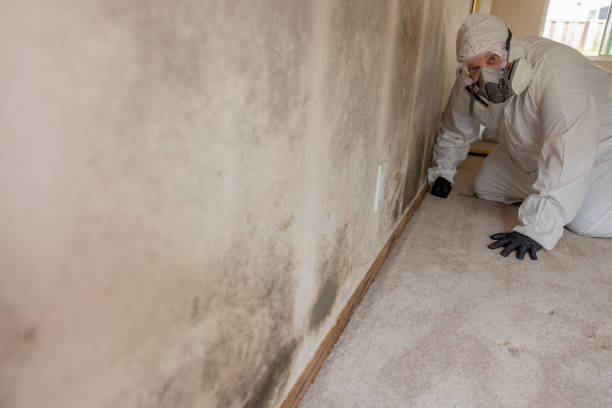 Biohazard Mold Removal in Columbia, MS